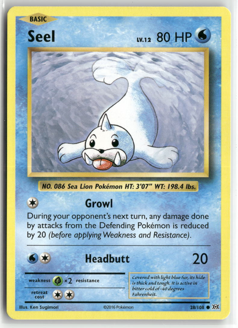 Seel